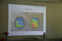 Delavnica Aktivni možgani