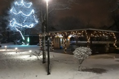 Veseli december v Domu