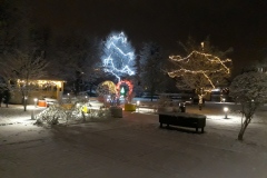 Veseli december v Domu