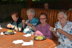 Sladoledni piknik, avgust