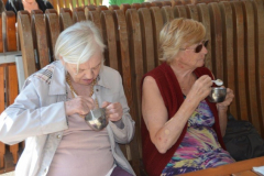 Sladoledni piknik, avgust