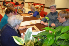 Vrstniški animatorji