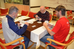 Vrstniški animatorji